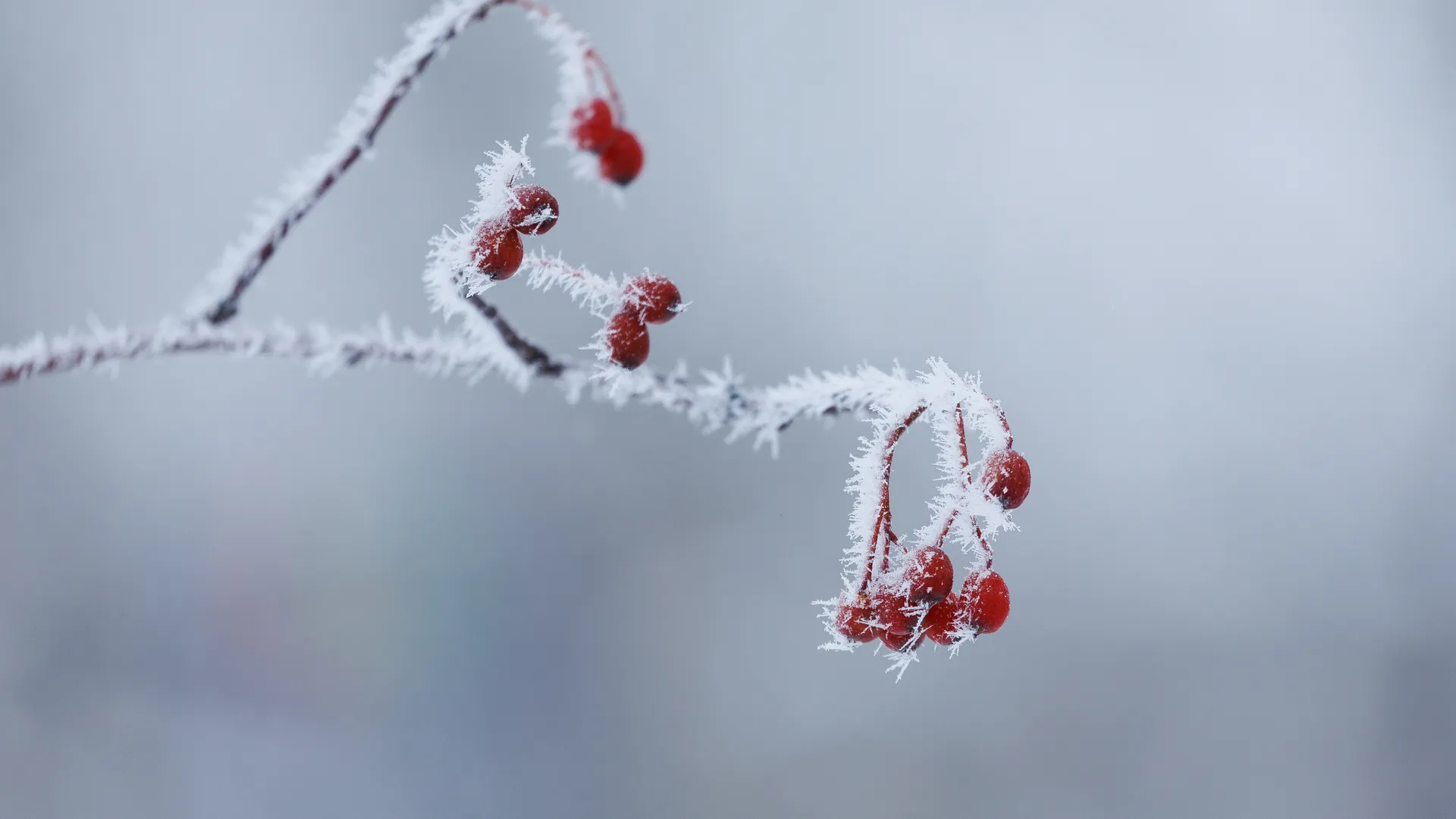 Морозы ударят по Подмосковью: синоптики рассказали о капризах погоды 9 марта