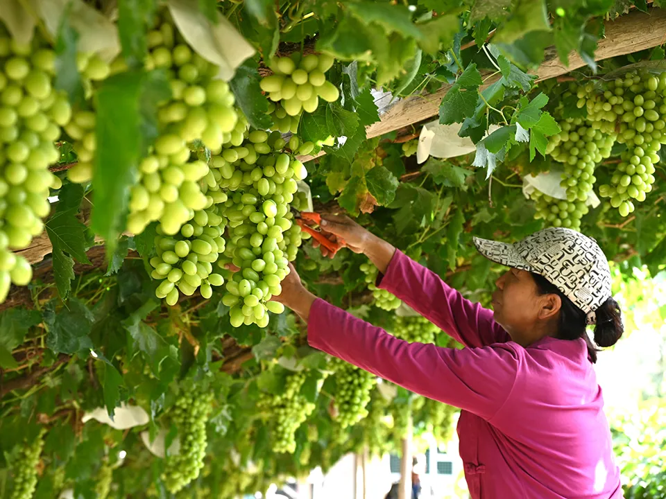 Фото: TASS/Visual China/VCG/Zhang Xiaoliang