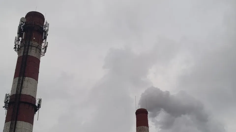 Фото: пресс-служба администрации г.о. Солнечногорск