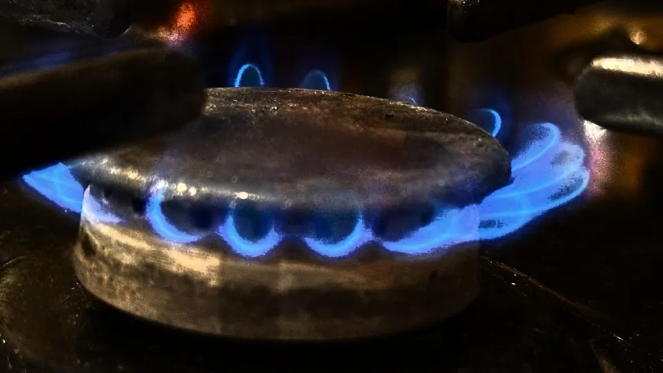 Фото: Министерство по содержанию территорий и государственному жилищному надзору Московской области