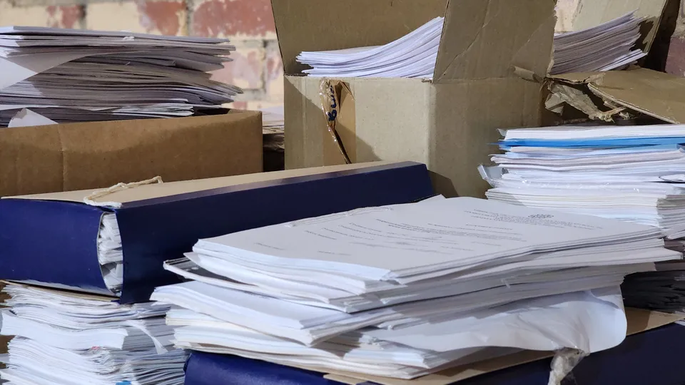 Ксения Пашуто