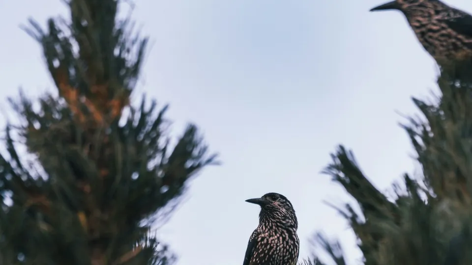 Фото: unsplash.com