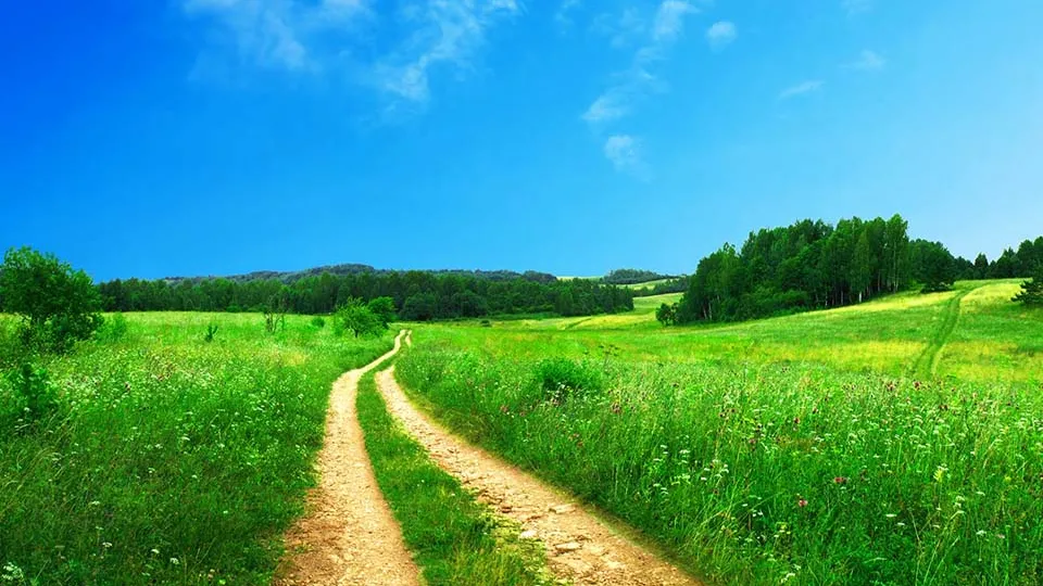 Фото: pxhere.com