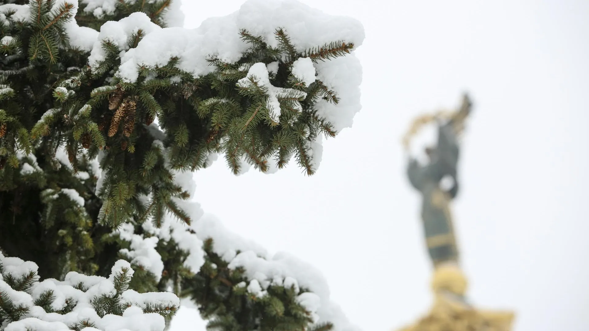 Sergii Kharchenko/ZUMAPRESS.com