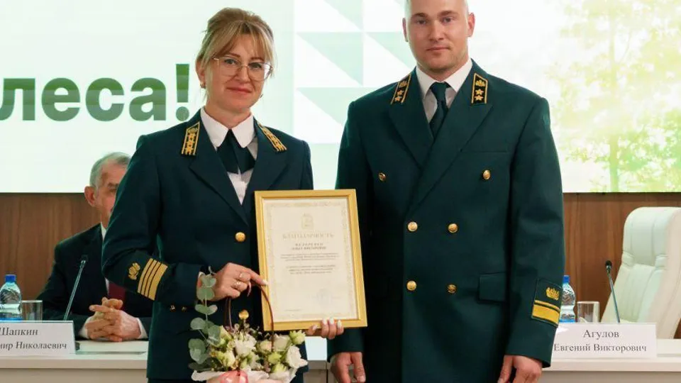 Фото: Комитет лесного хозяйства Московской области