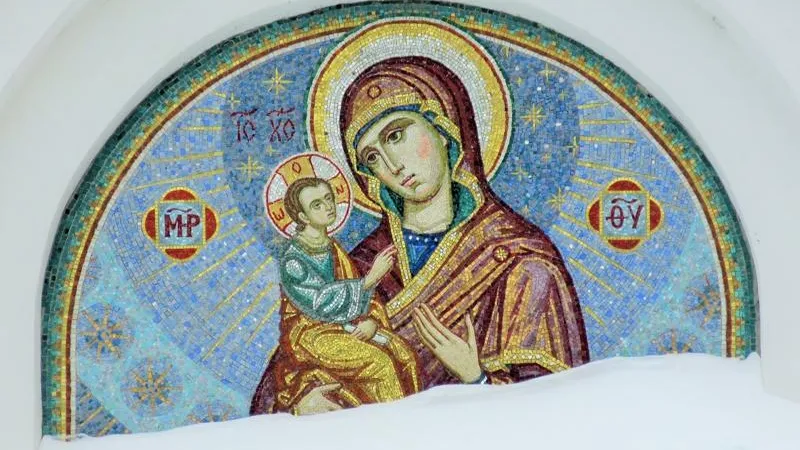 Антон Саков / Подмосковье сегодня