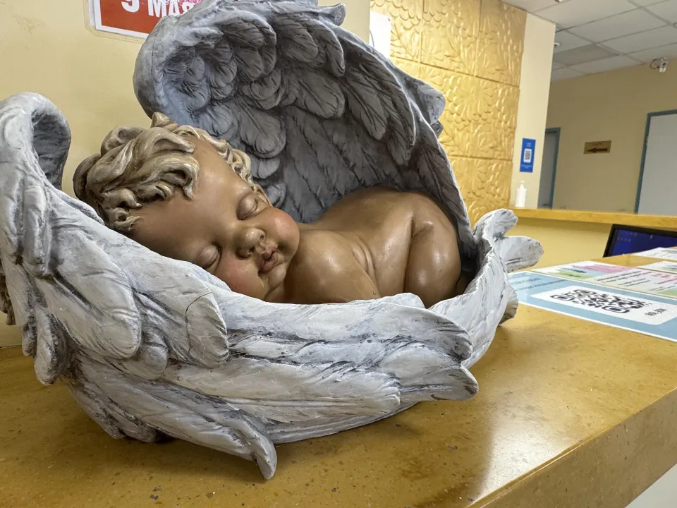 Фото: Виктория Фортуна