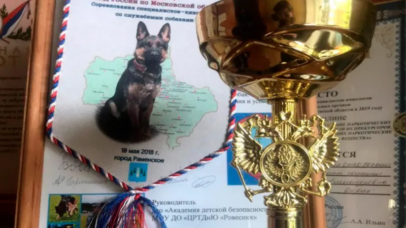 пресс-служба г.о. Истра