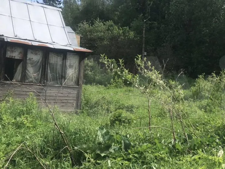 Фото: городская доска объявлений&nbsp;