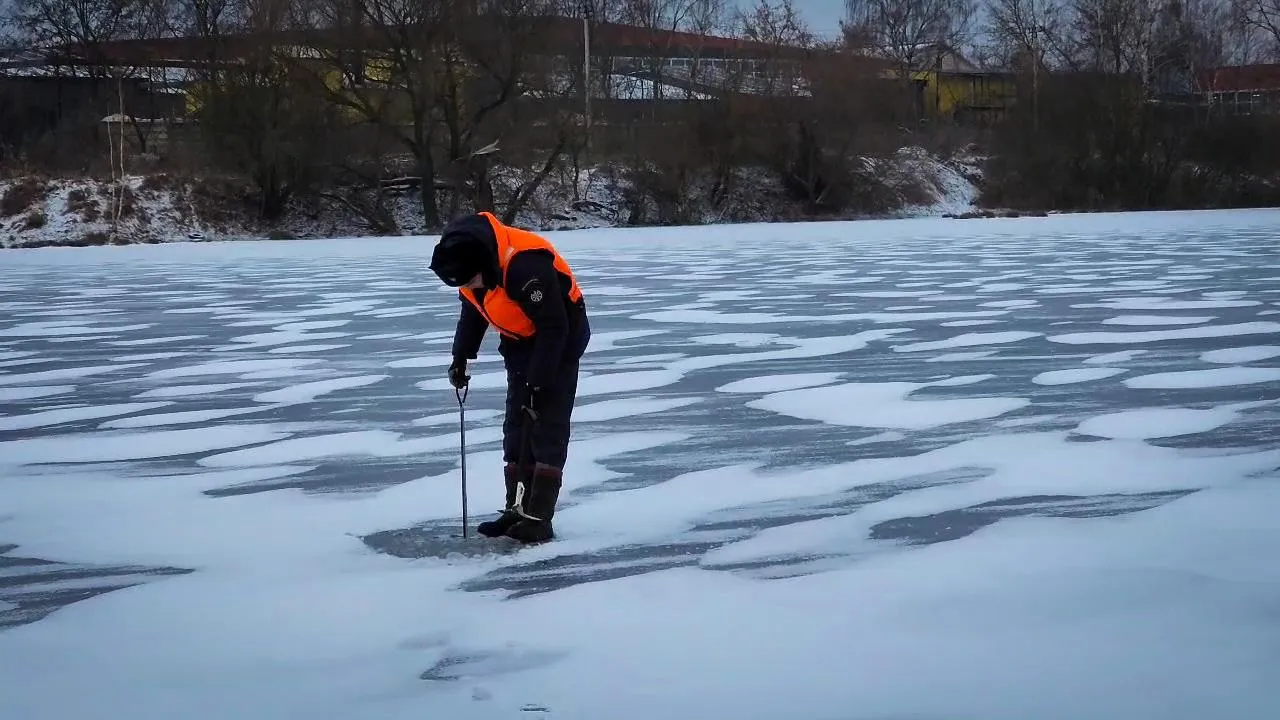 МедиаБанк Подмосковья/Ольга Антонова