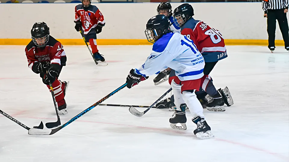 Фото: Зарайский ледовый спортивный комплекс