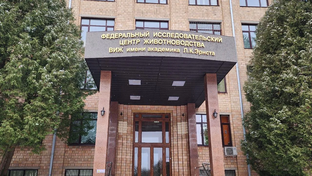 REGIONS/Мария Андрюхина