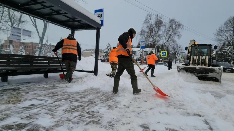 МедиаБанк Подмосковья/Екатерина Данилина