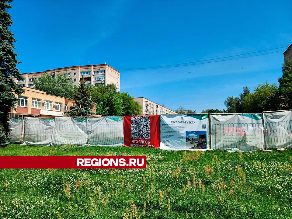 Фото: Светлана Плотникова