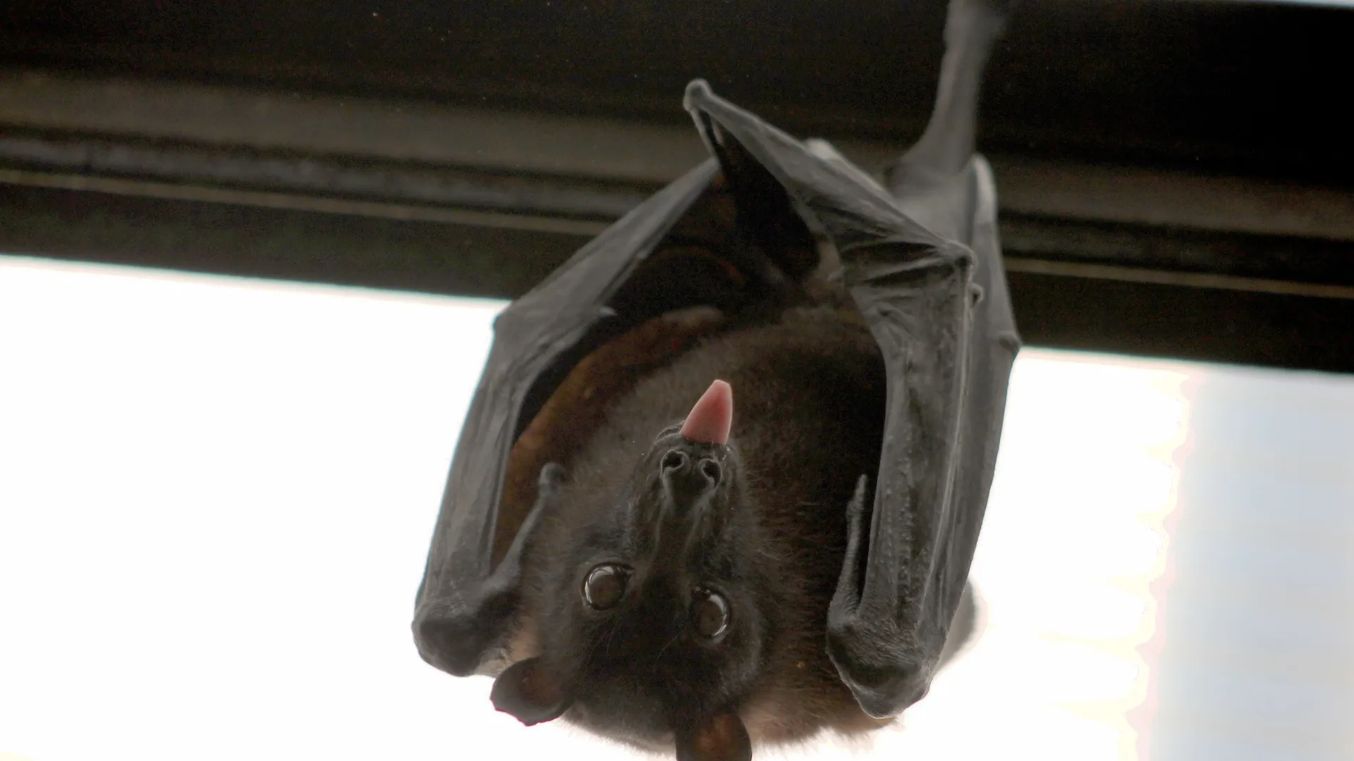 Фото: pxhere.com