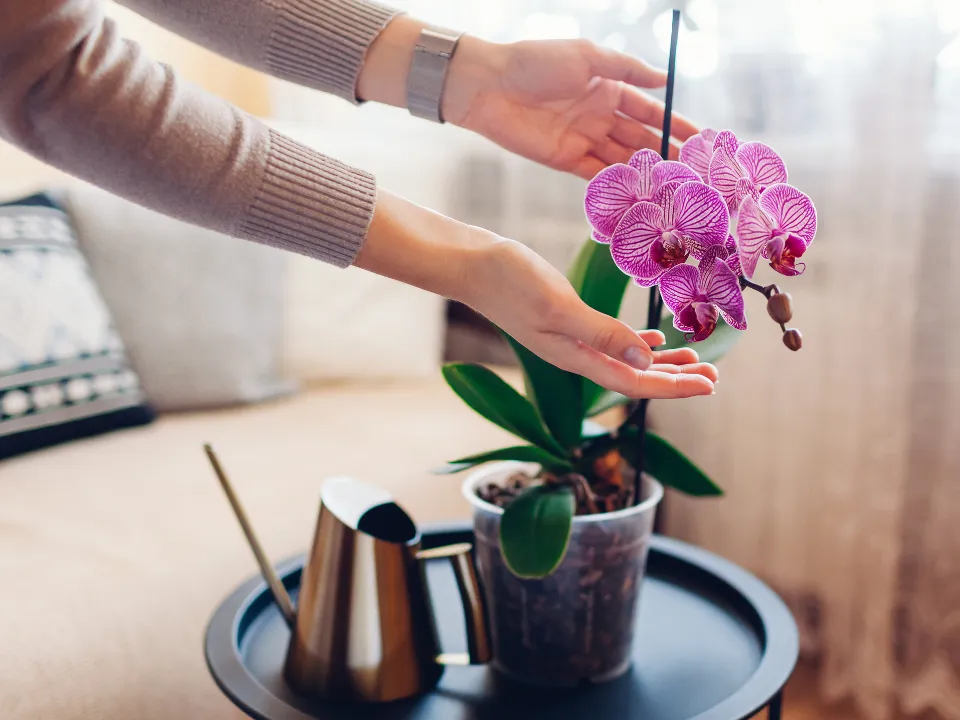 Фото: istockphoto.com/Maryviolet