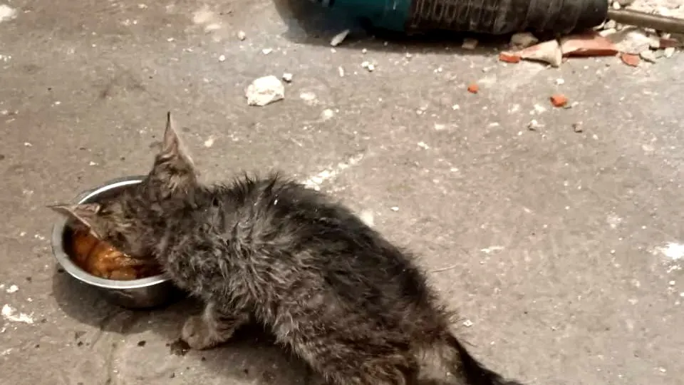 Фото: Богородский медиацентр/УК «Наш двор»