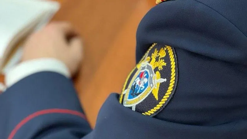 Жителя Сергиева Посада, который убил свою мать, заключили под стражу