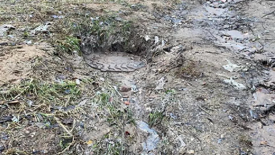 Фото: МЦУР Дмитровского городского округа