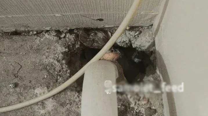 Жители многоэтажки в Лобне пожаловались на  сквозные дыры около батарей