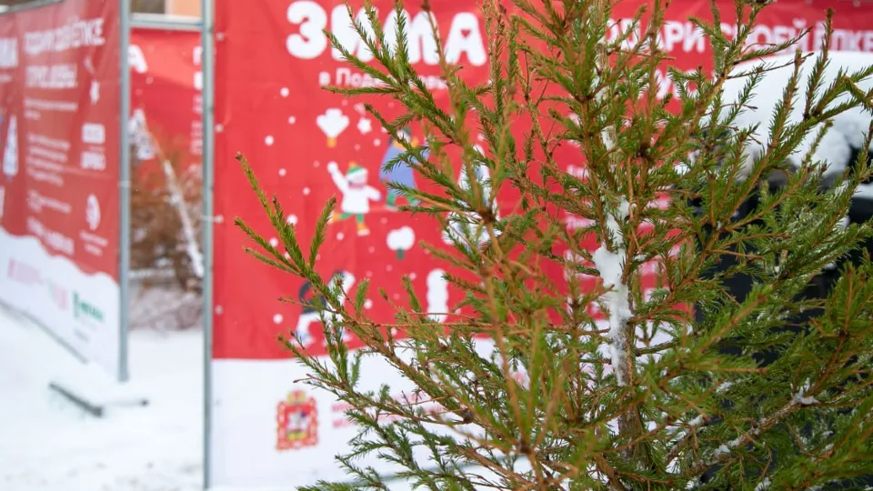 Фото: пресс-служба администрации г.о. Коломна