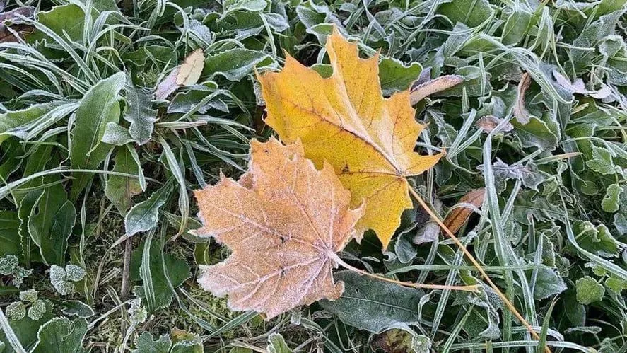 Фото: Соцсети