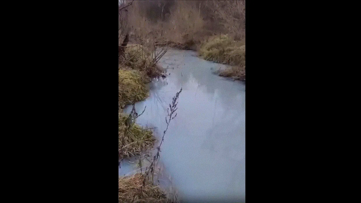 Скриншот из соцсетей