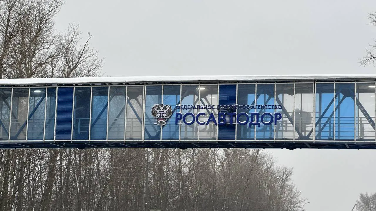 Четыре надземных пешеходных перехода открыли на федеральных дорогах в Подмосковье