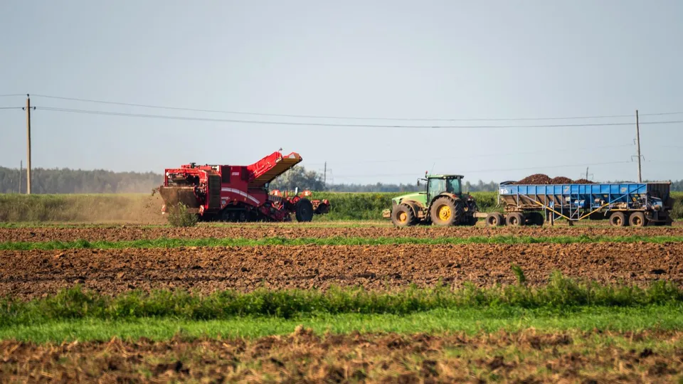 Фото: медиасток.рф