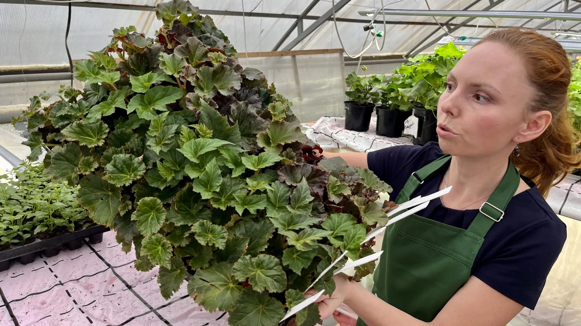 Фото: Анна Тюрюмина