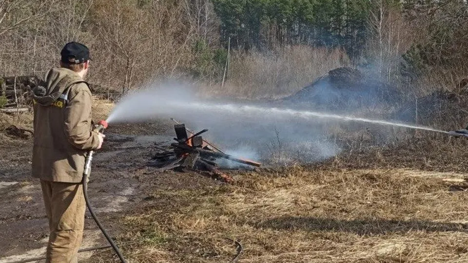 Фото: Комитет лесного хозяйства Московской области