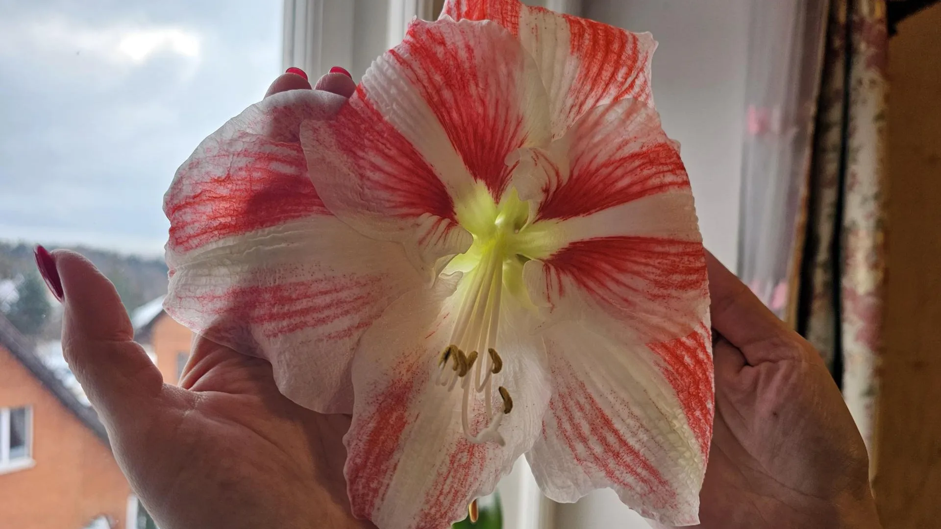 Видновский ПЦ