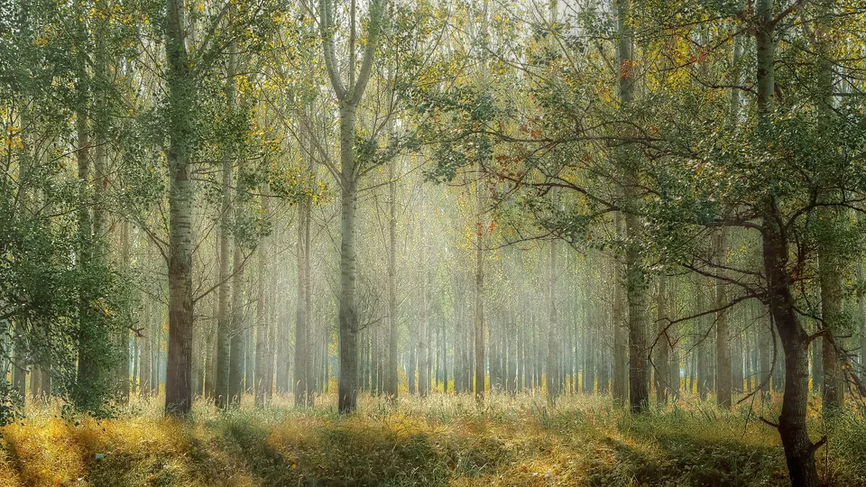 Фото: pxhere.com