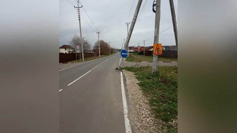 Укосы электростолбов для проезда автобуса уже полгода просят убрать жители Раменского округа 