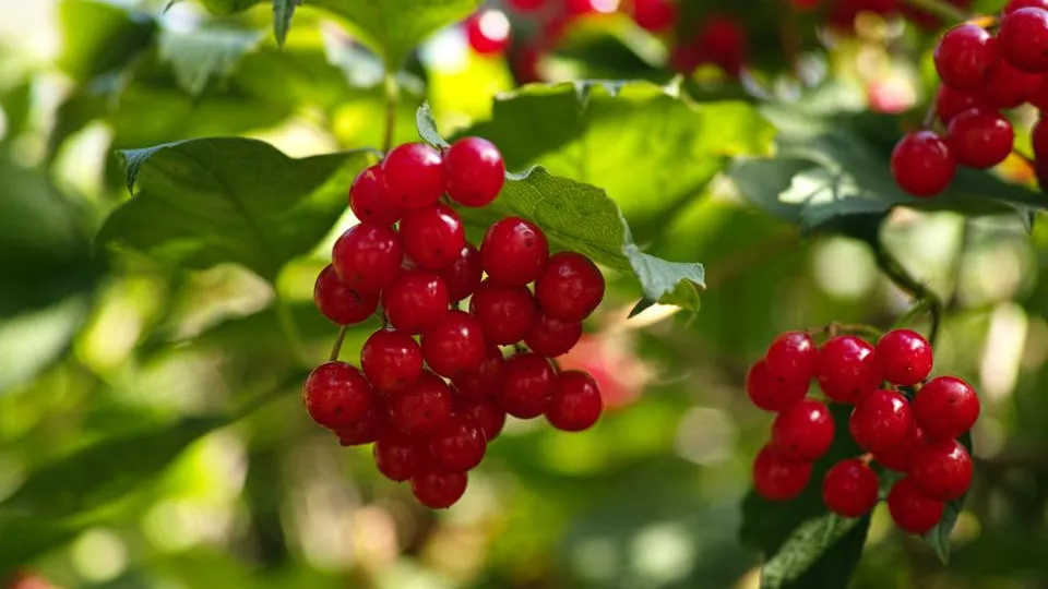 Фото: istockphoto.com