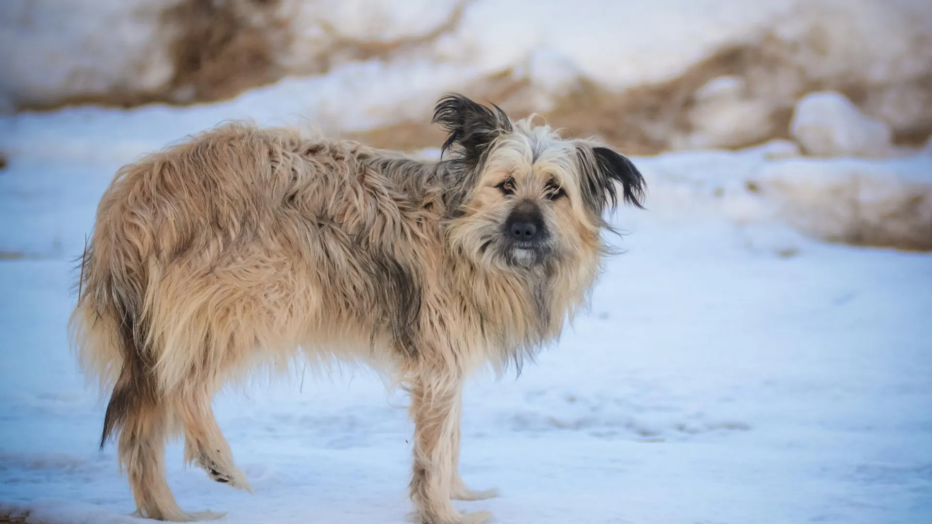 Фото: Руслан Полянин