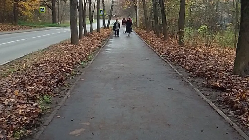 Фото: пресс-служба администрации г.о. Пушкинский