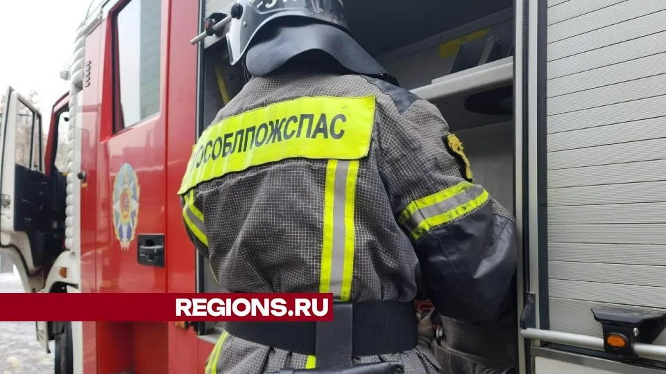 Фото: Иван Чижов