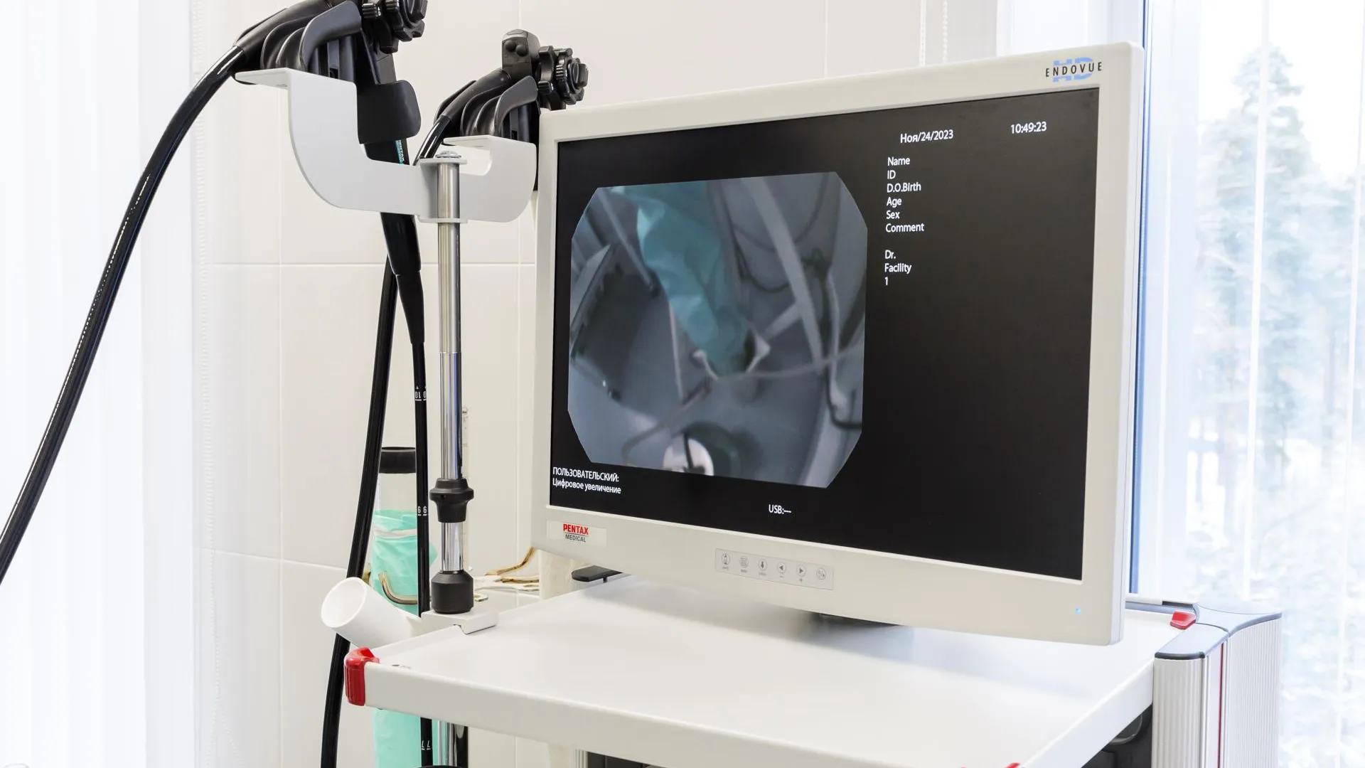 Фото: Медиаархив Подмосковья