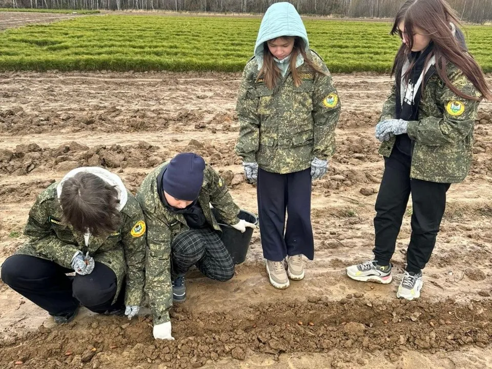 Фото: Комитет лесного хозяйства МО