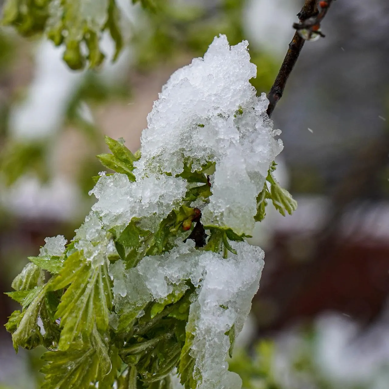 Alexander Sayganov/Keystone Press Agency