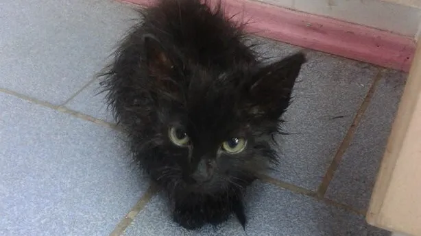 Фото: unsplash.com