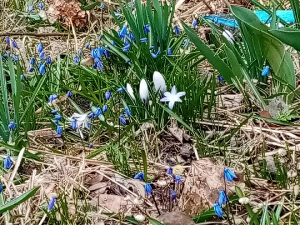 Фото: Елена Быховская