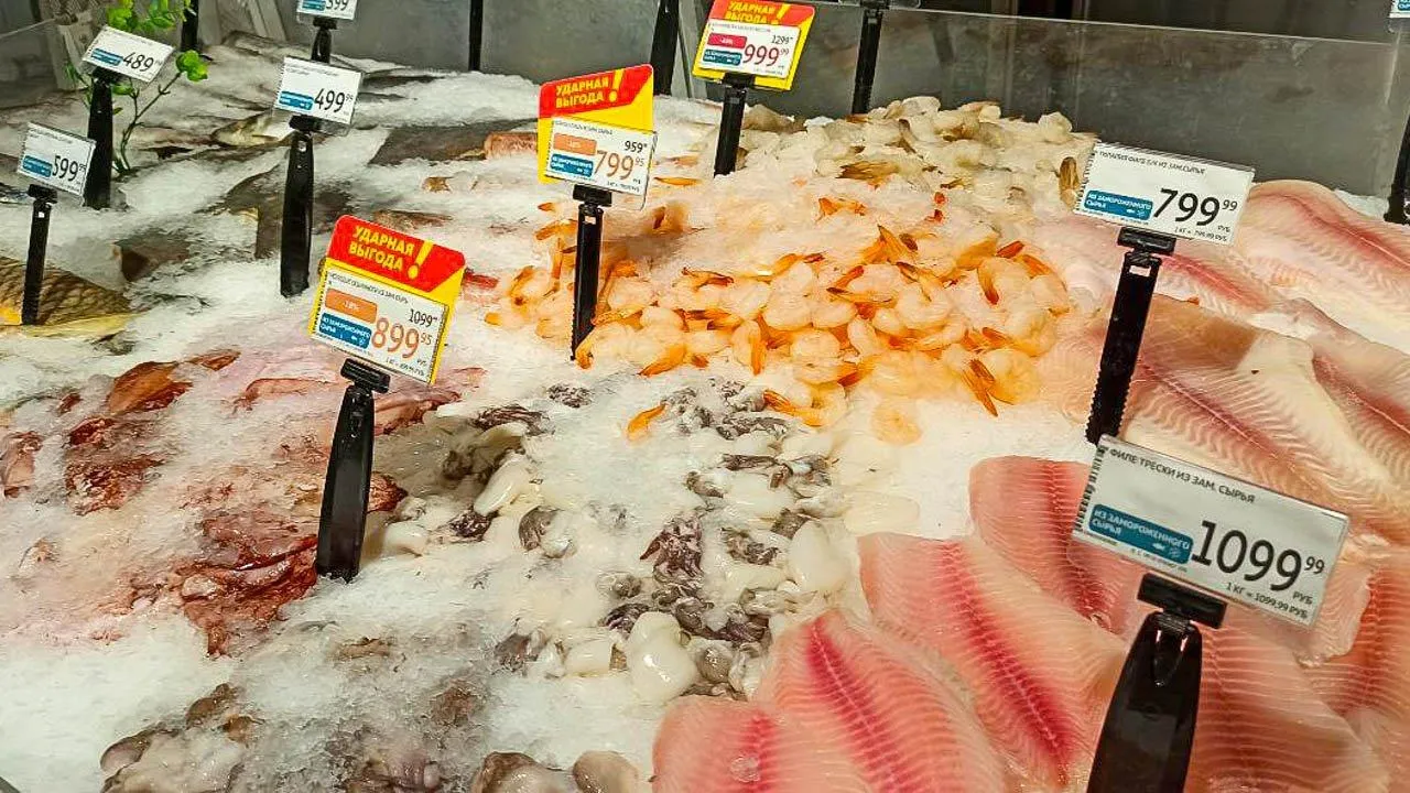 REGIONS/Эльвира Сафина