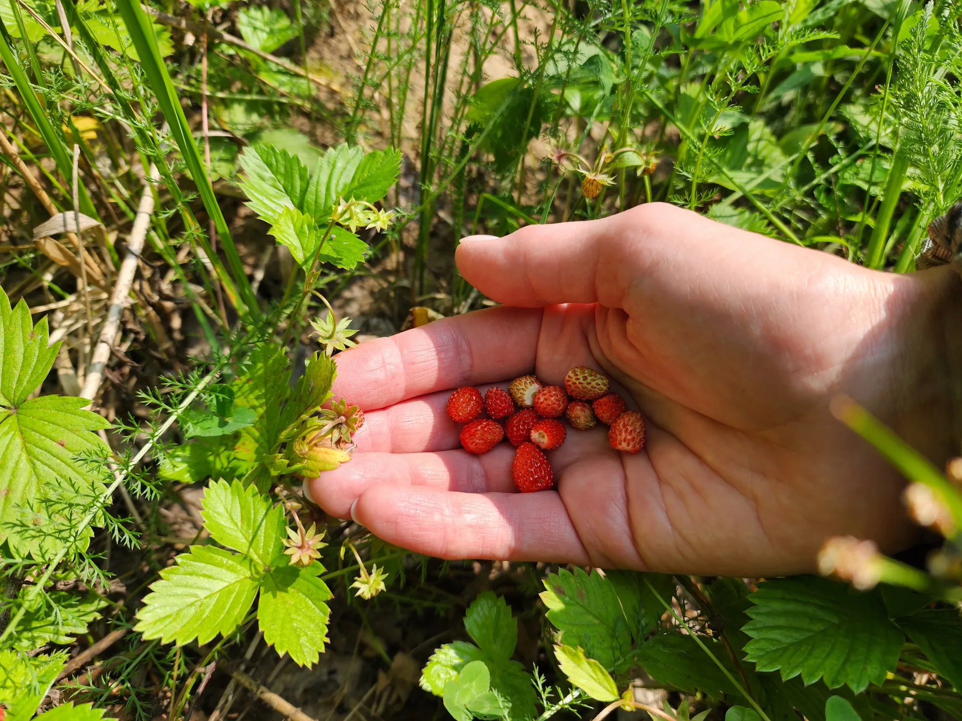 Фото: Михаил Мартыненко