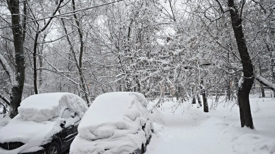 Фото: медиасток.рф