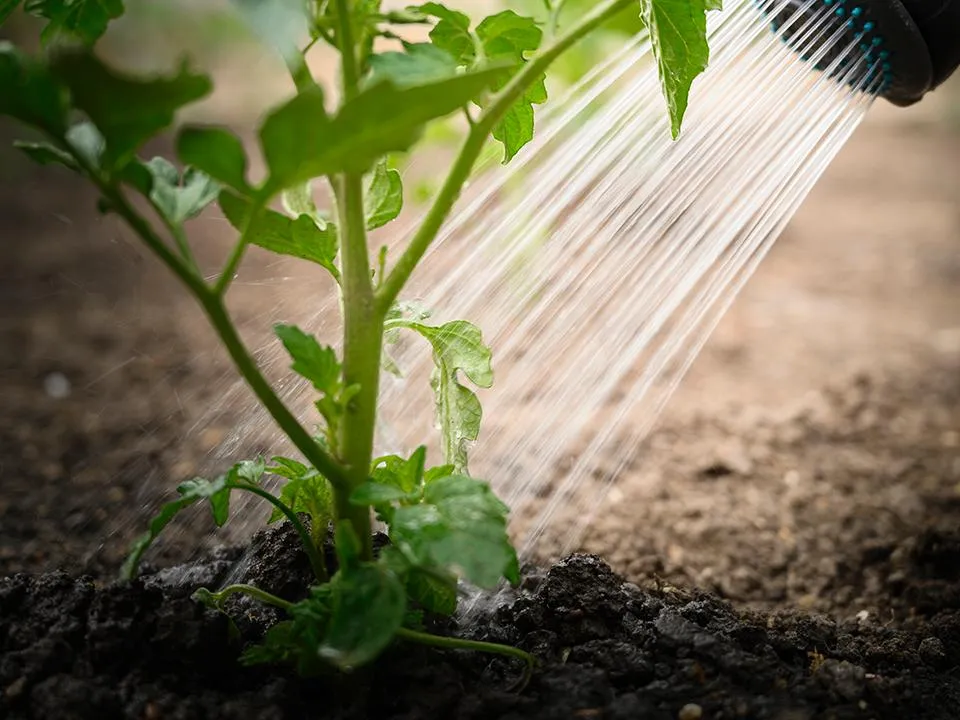 Фото: istockphoto.com