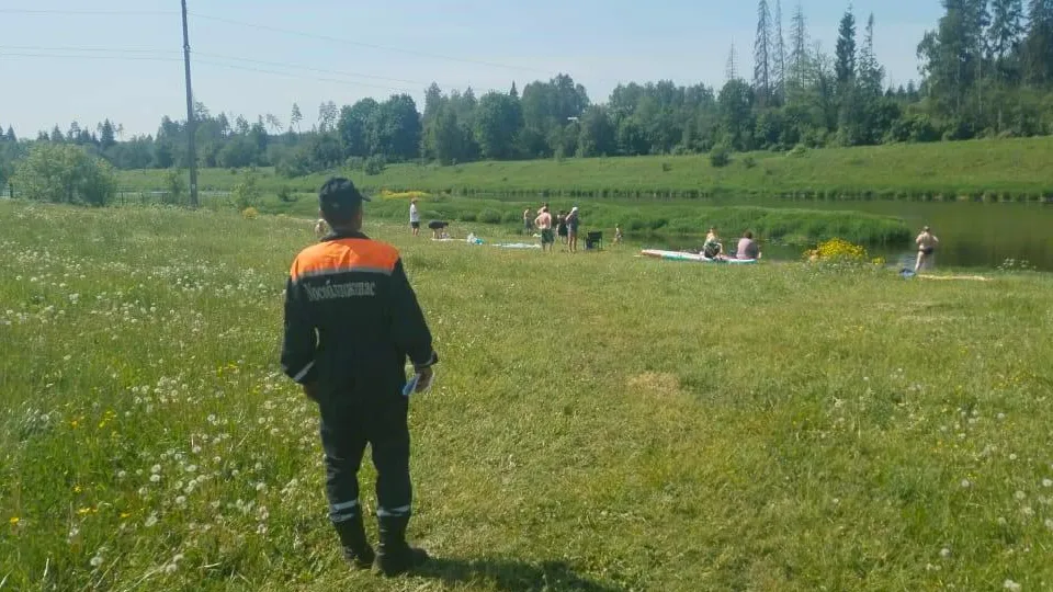 Фото: t.me/mosoblpspas