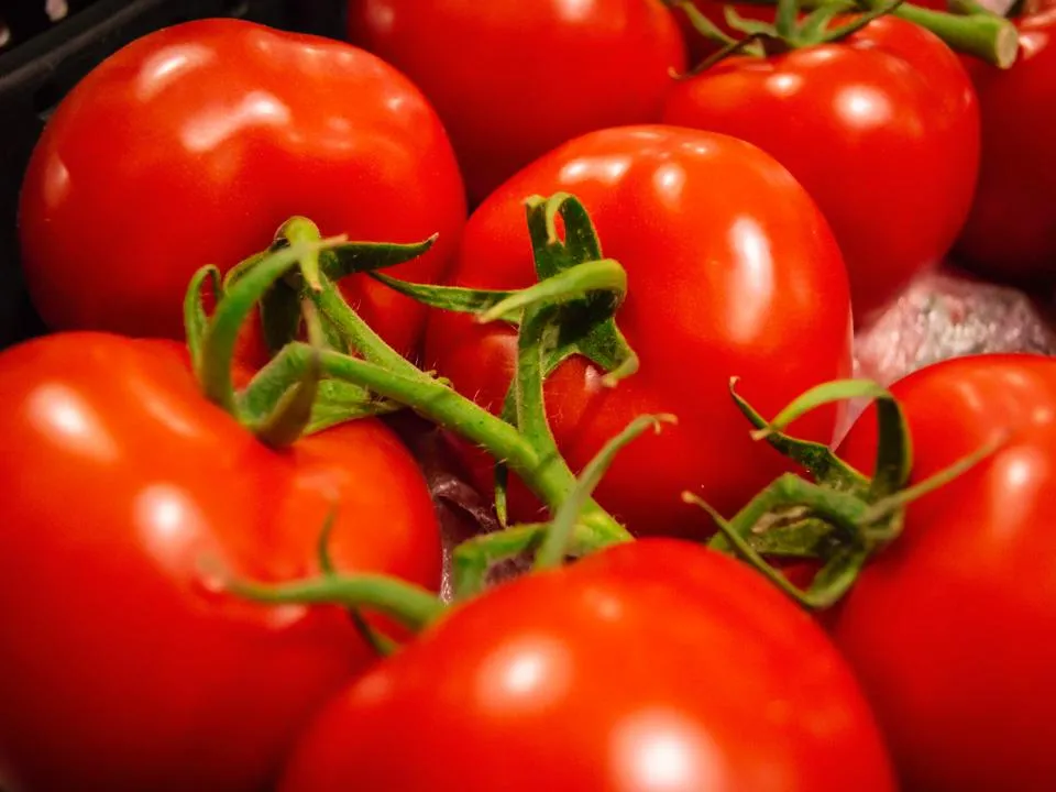 Фото: istockphoto.com/Maksym Kapliuk