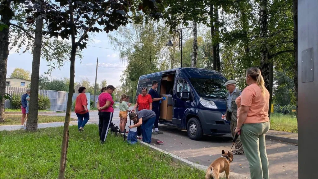 Фото: пресс-служба администрации Наро-Фоминского г.о.